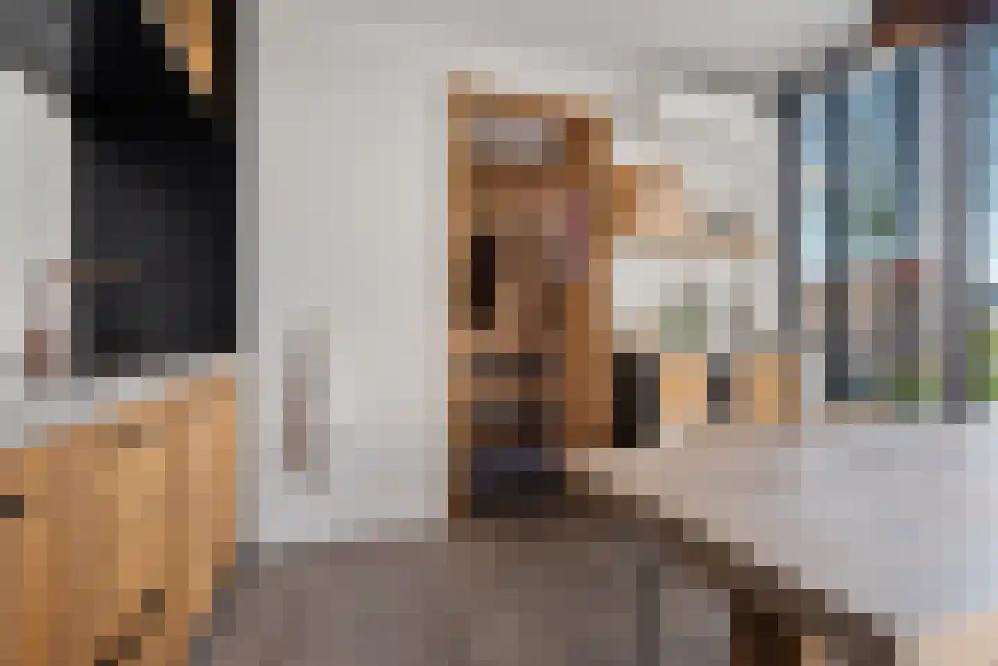 Heerlijkheid 13 Warmenhuizen thumbnail 9