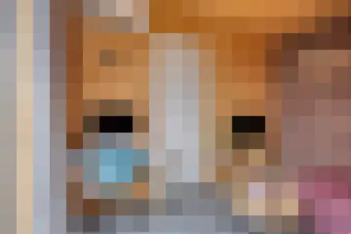 Heerlijkheid 15 Warmenhuizen thumbnail 10