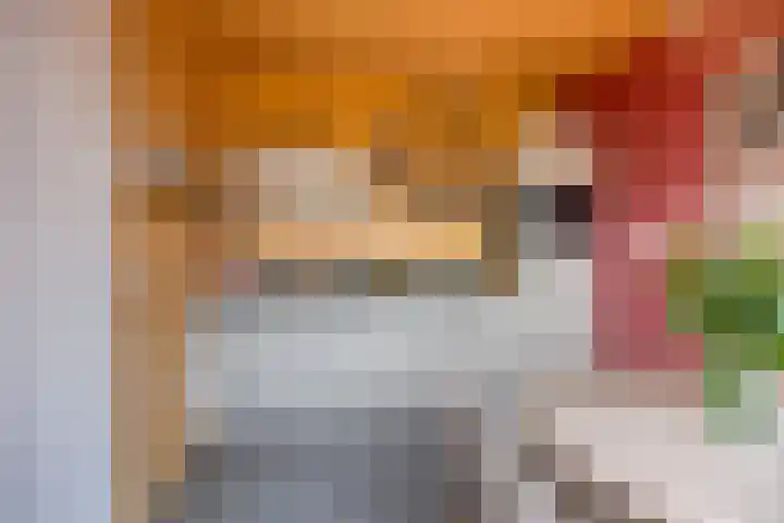 Heerlijkheid 15 Warmenhuizen thumbnail 14