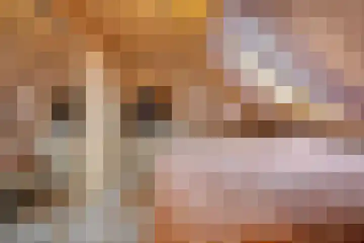 Heerlijkheid 15 Warmenhuizen thumbnail 15