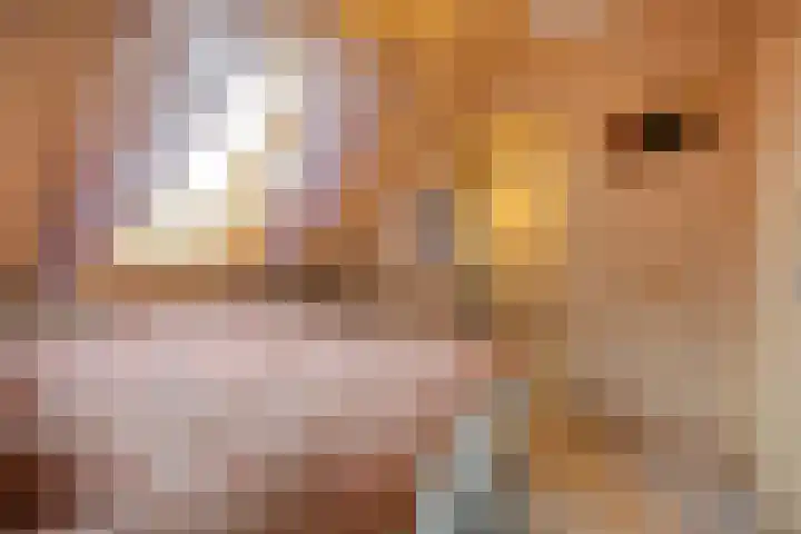 Heerlijkheid 15 Warmenhuizen thumbnail 16