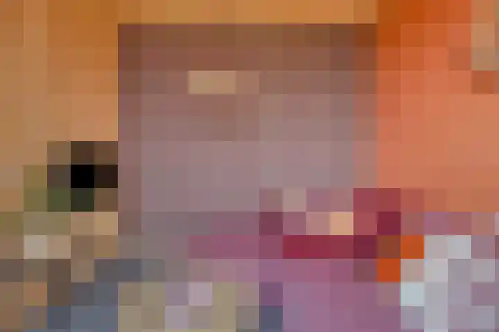 Heerlijkheid 15 Warmenhuizen thumbnail 9