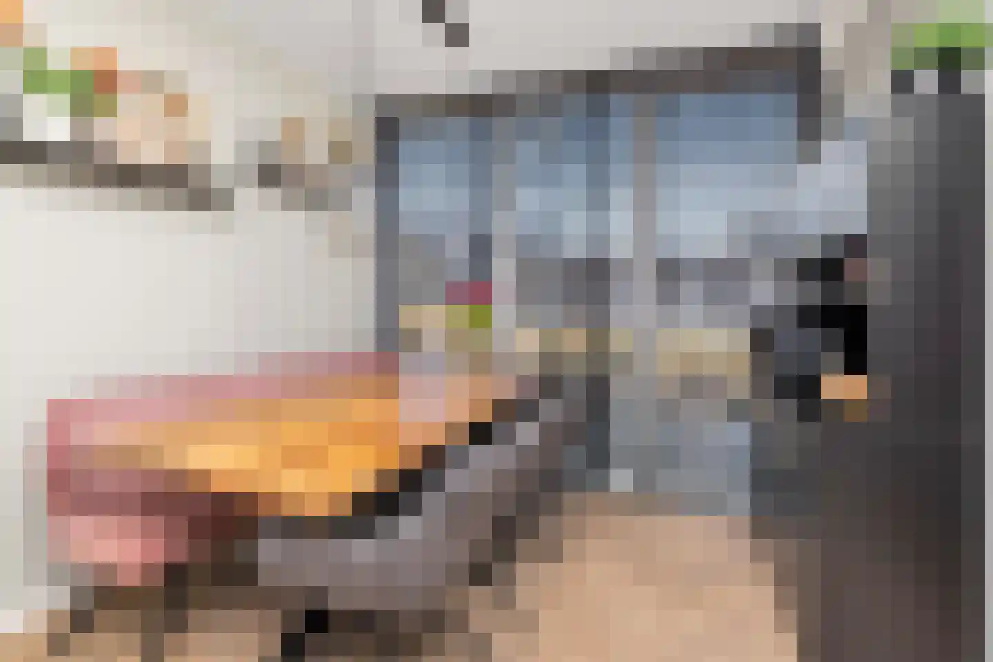 Heerlijkheid 23 Warmenhuizen thumbnail 11