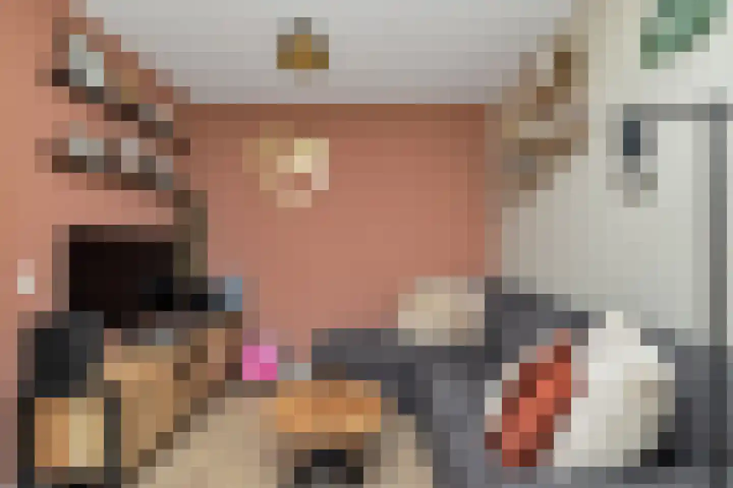 Heerlijkheid 23 Warmenhuizen thumbnail 19