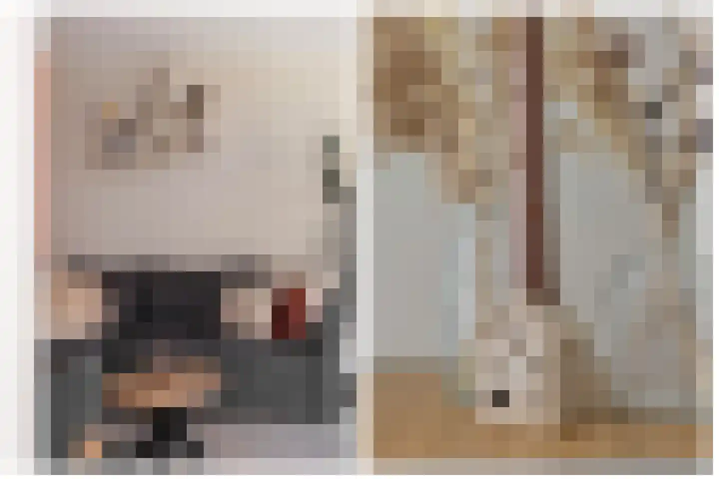 Heerlijkheid 23 Warmenhuizen thumbnail 20