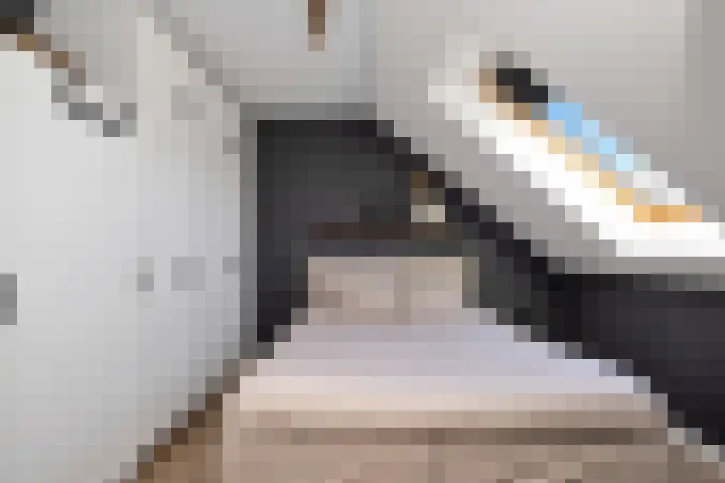 Heerlijkheid 23 Warmenhuizen thumbnail 24