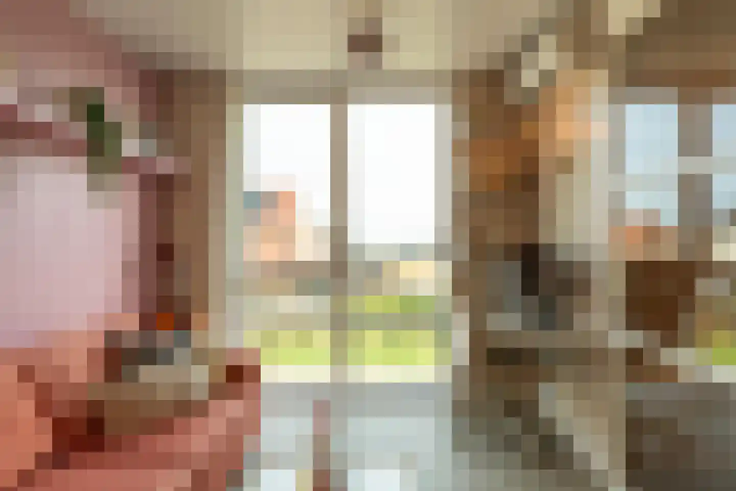 Heerlijkheid 26 Warmenhuizen thumbnail 17
