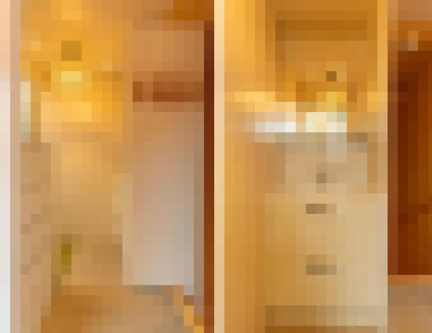 Heerlijkheid 26 Warmenhuizen thumbnail 21