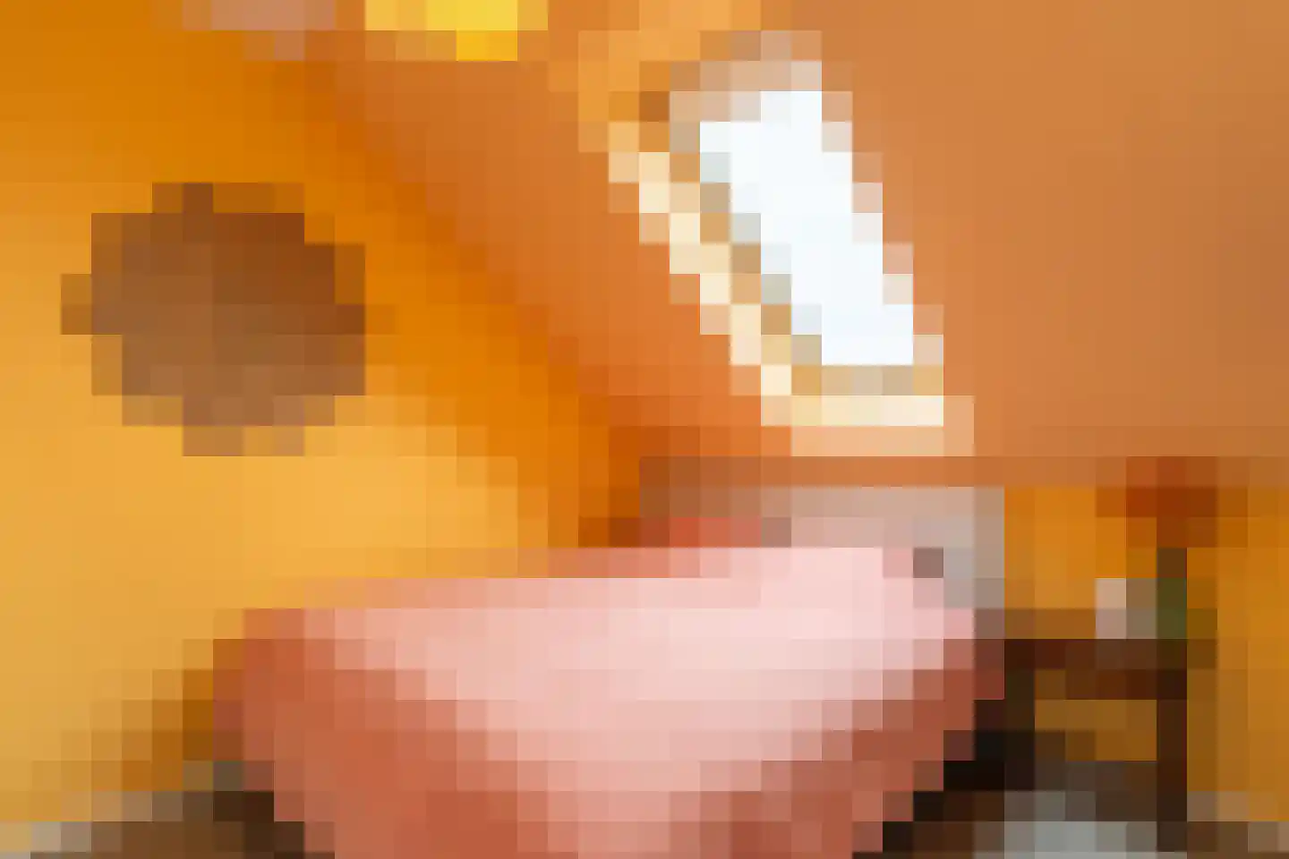 Heerlijkheid 26 Warmenhuizen thumbnail 23