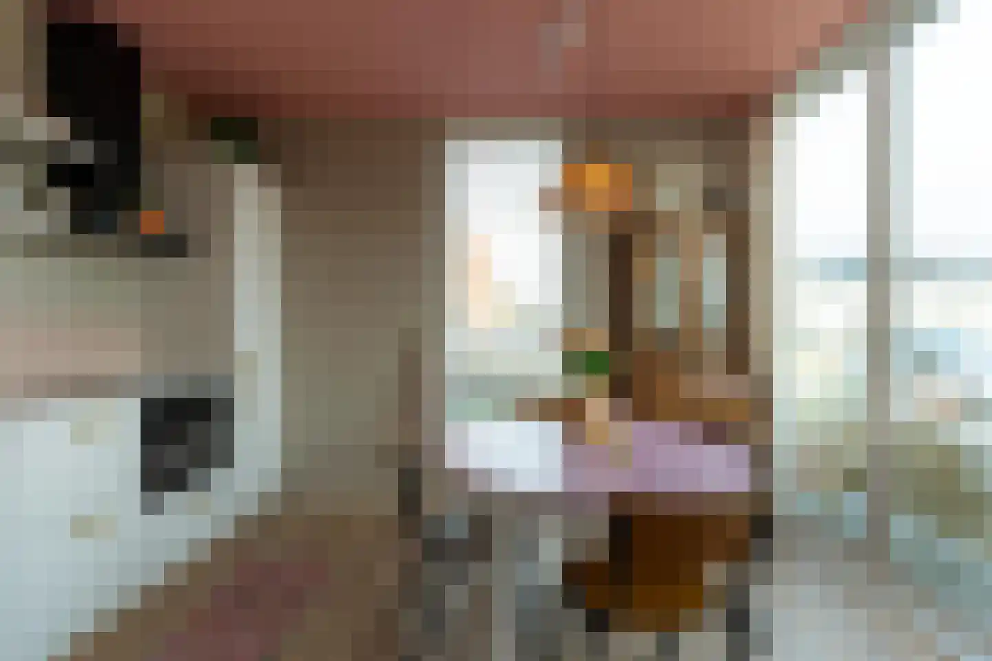 Heerlijkheid 26 Warmenhuizen thumbnail 8