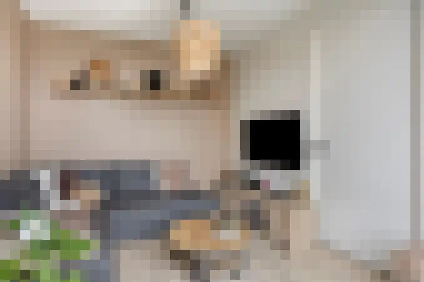 Heerlijkheid 28 Warmenhuizen thumbnail 12