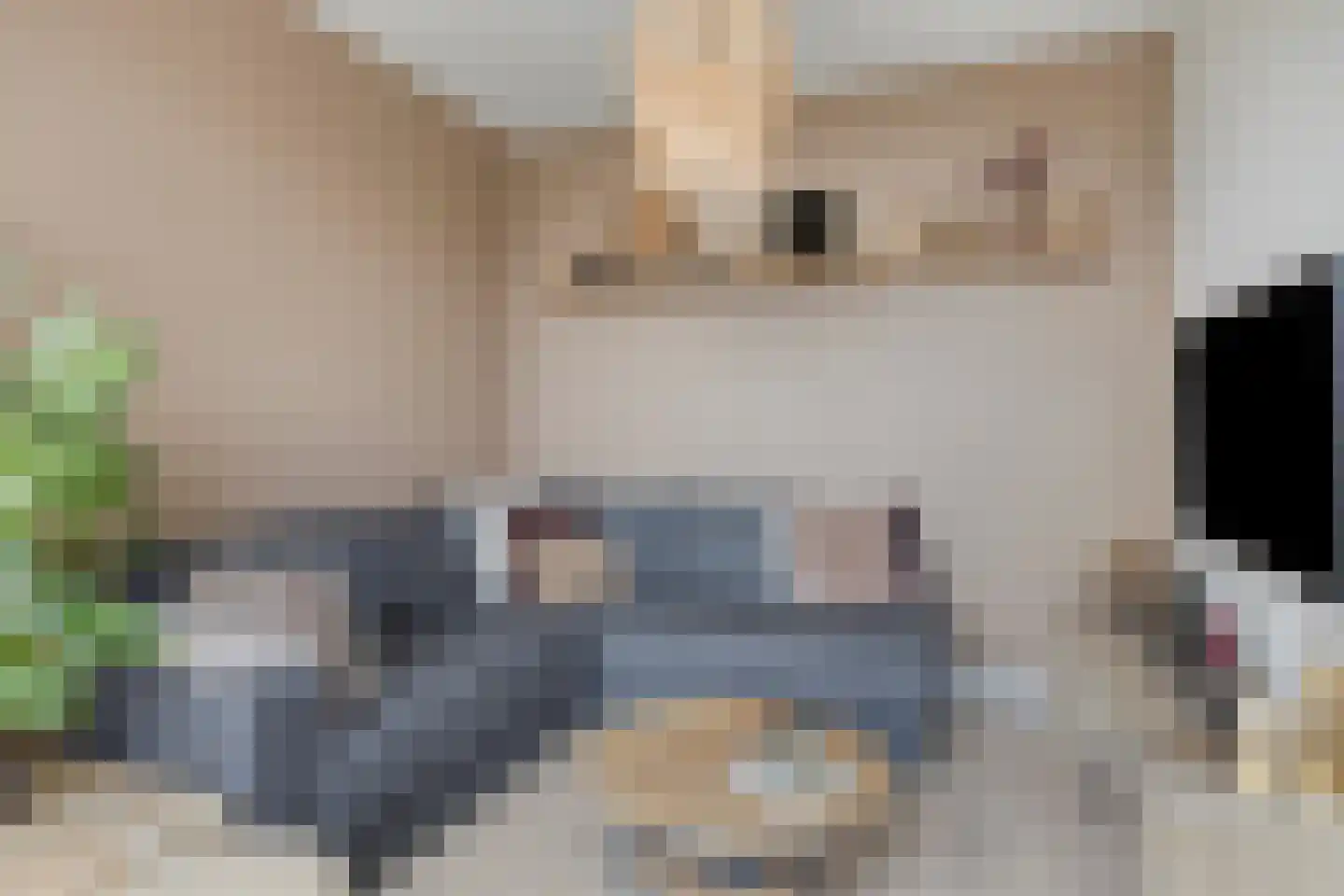 Heerlijkheid 28 Warmenhuizen thumbnail 14