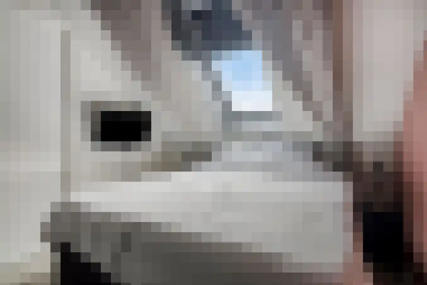 Heerlijkheid 28 Warmenhuizen thumbnail 17