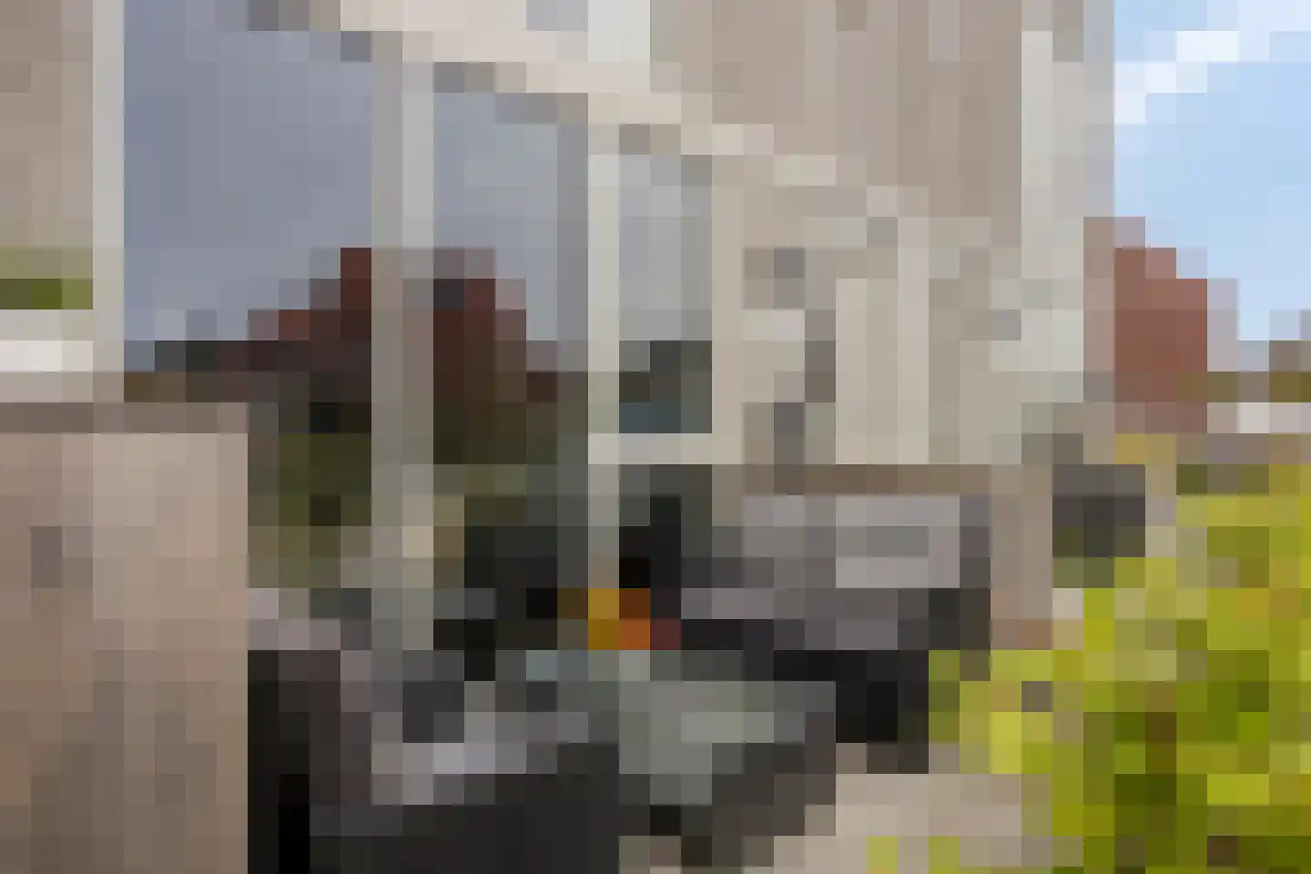 Heerlijkheid 28 Warmenhuizen thumbnail 22