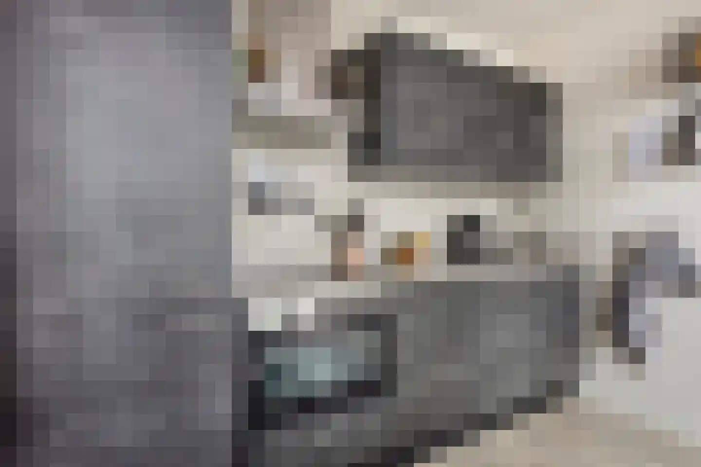 Heerlijkheid 28 Warmenhuizen thumbnail 9