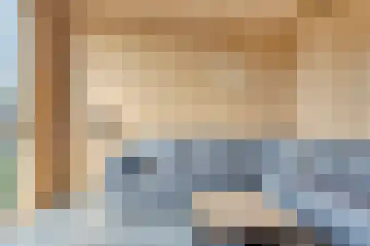 Heerlijkheid 48 Warmenhuizen thumbnail 10