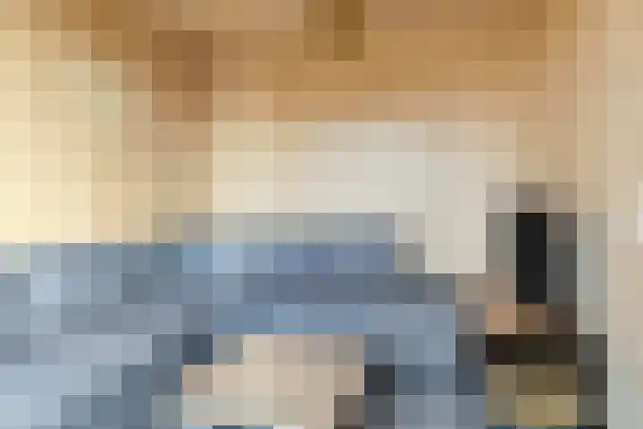 Heerlijkheid 48 Warmenhuizen thumbnail 11