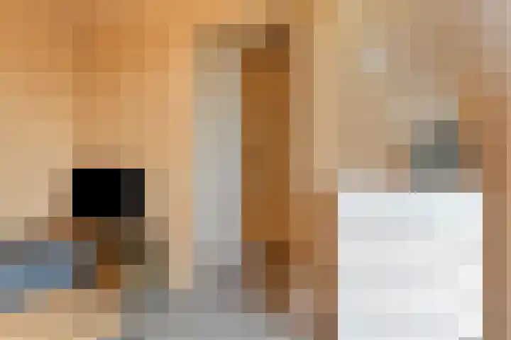 Heerlijkheid 48 Warmenhuizen thumbnail 13