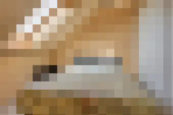 Heerlijkheid 48 Warmenhuizen thumbnail 14