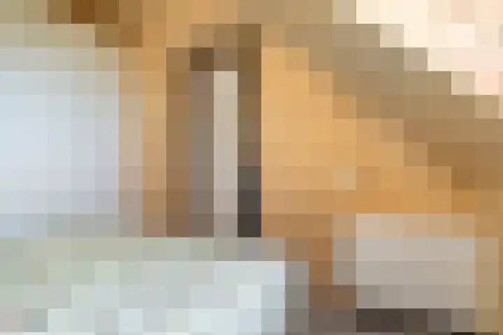Heerlijkheid 48 Warmenhuizen thumbnail 16