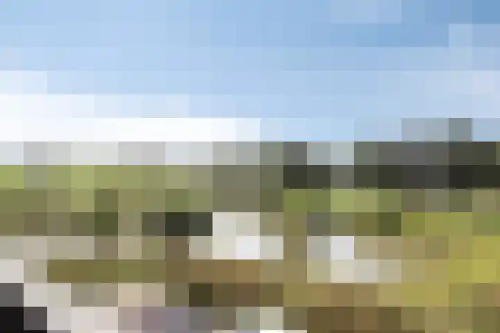 Heerlijkheid 48 Warmenhuizen thumbnail 19