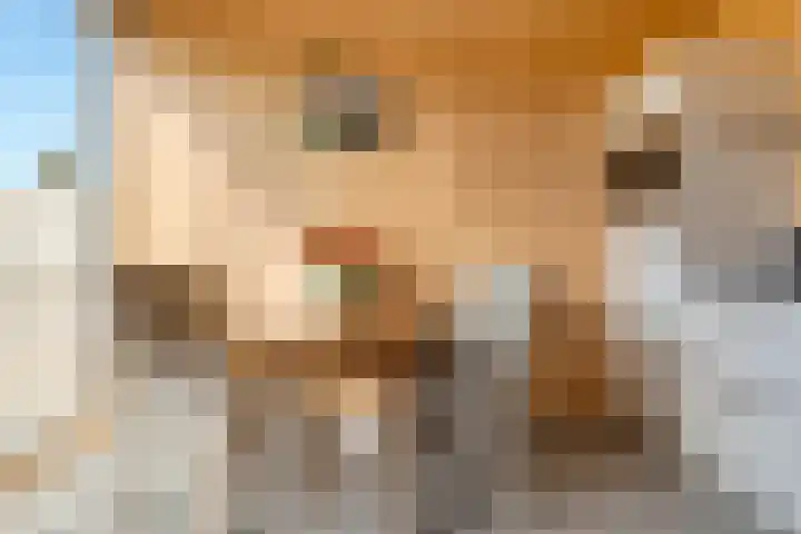 Heerlijkheid 48 Warmenhuizen thumbnail 8