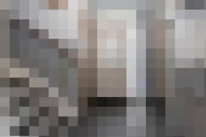 Heerlijkheidlaan 45 Weert thumbnail 5