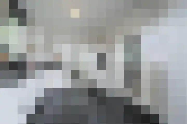 Heerlijkheidlaan 61 Weert thumbnail 10