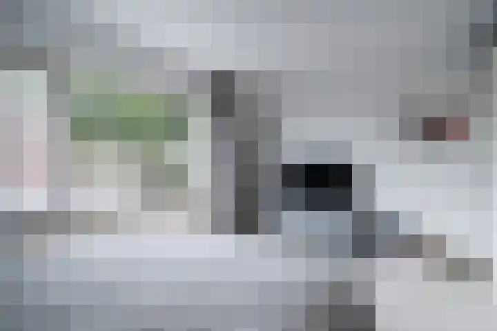 Heerlijkheidlaan 61 Weert thumbnail 25