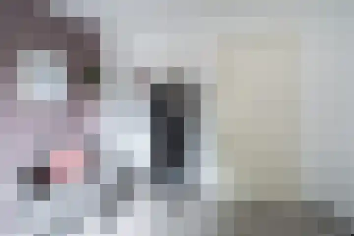 Heerlijkheidlaan 61 Weert thumbnail 31