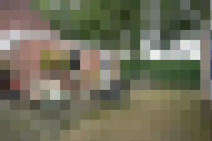 Heerlijkheidlaan 61 Weert thumbnail 33