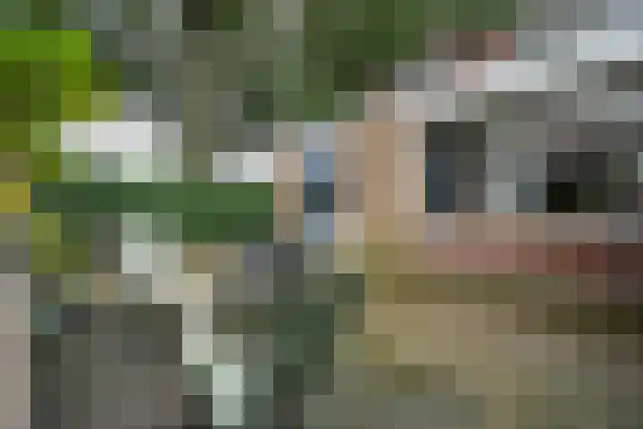Heerlijkheidlaan 61 Weert thumbnail 34