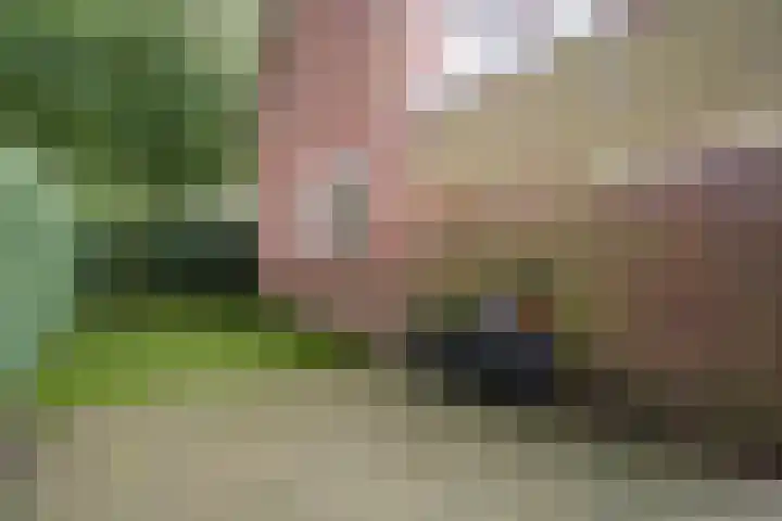 Heerlijkheidlaan 61 Weert thumbnail 36