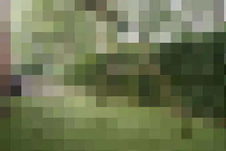 Heerlijkheidlaan 61 Weert thumbnail 37