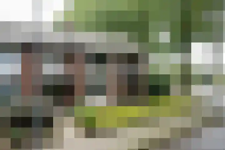 Heerlijkheidlaan 61 Weert thumbnail 40