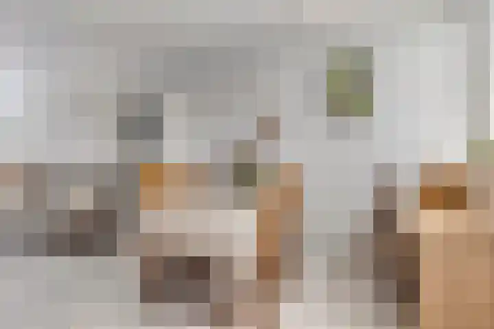 Heerlijkheidsstraat 11 Sas van Gent thumbnail 11