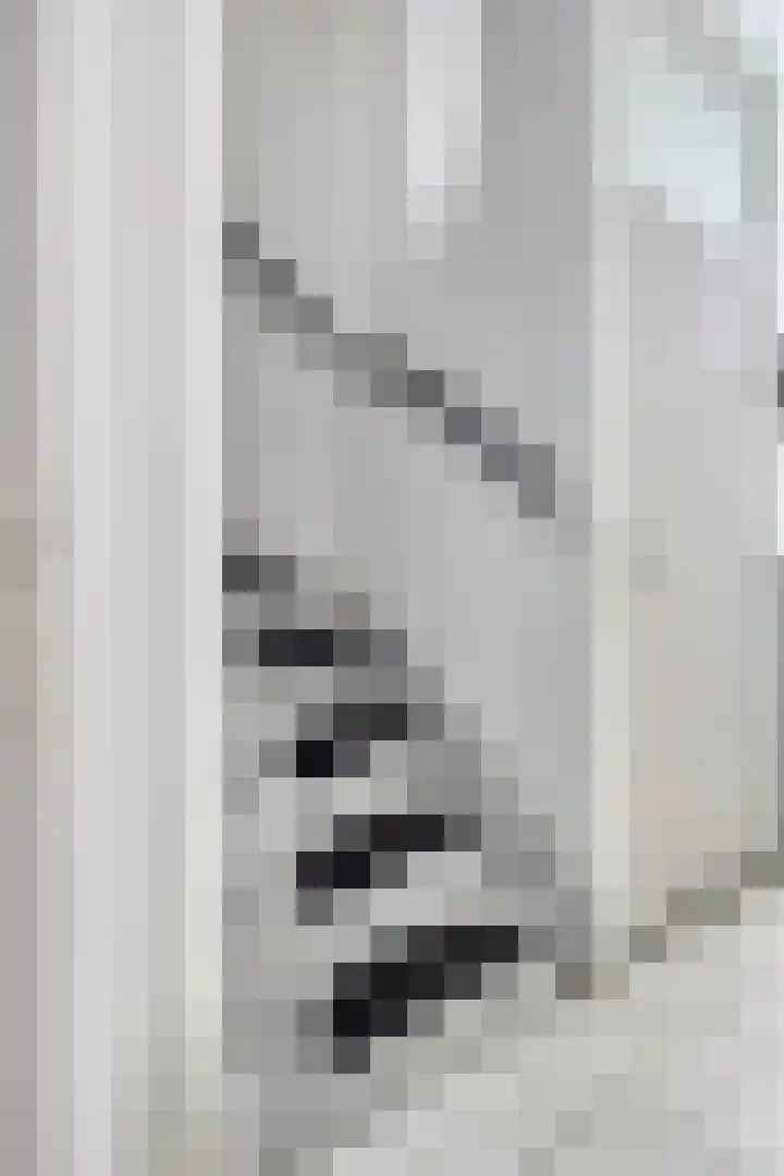 Heerlijkheidsstraat 11 Sas van Gent thumbnail 17