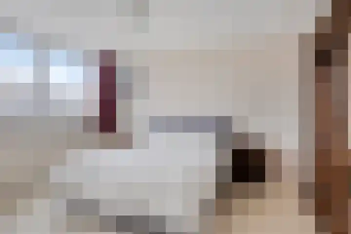 Heerlijkheidsstraat 11 Sas van Gent thumbnail 19