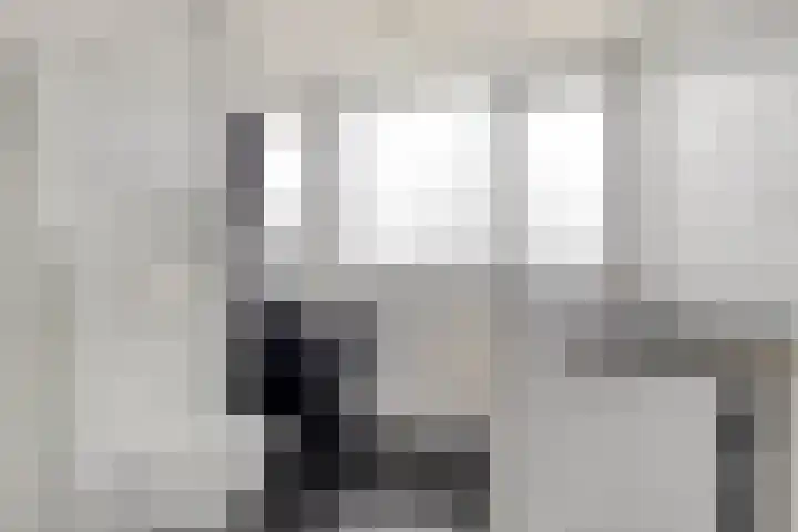 Heerlijkheidsstraat 11 Sas van Gent thumbnail 25