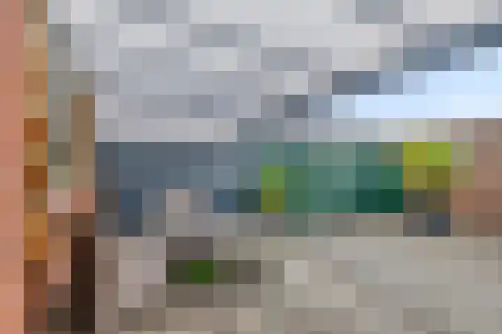 Heerlijkheidsstraat 11 Sas van Gent thumbnail 5
