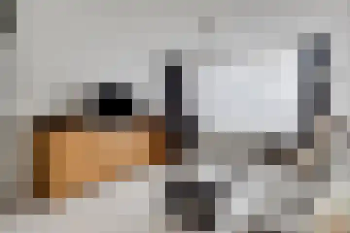 Heerlijkheidsstraat 11 Sas van Gent thumbnail 9