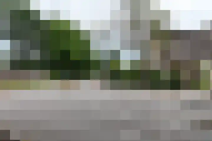 Heerma van Vossstraat 16 Roosendaal thumbnail 6