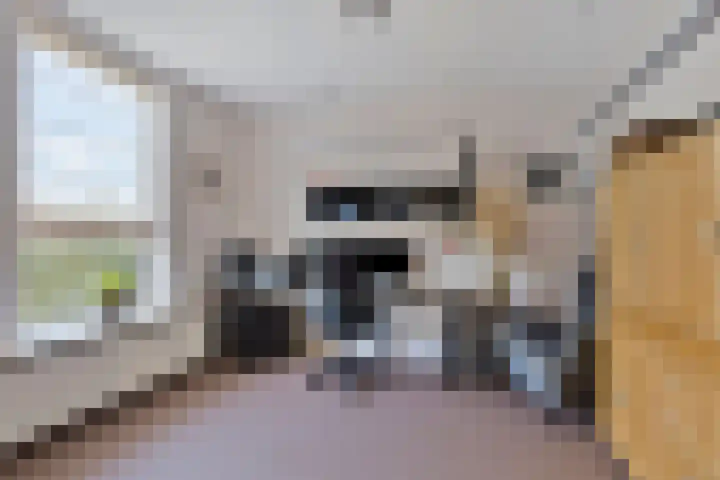 Heerma van Vossstraat 55 Roosendaal thumbnail 13