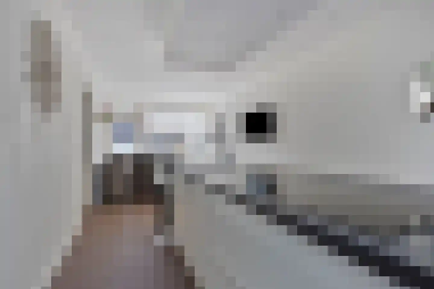 Heerma van Vossstraat 55 Roosendaal thumbnail 15