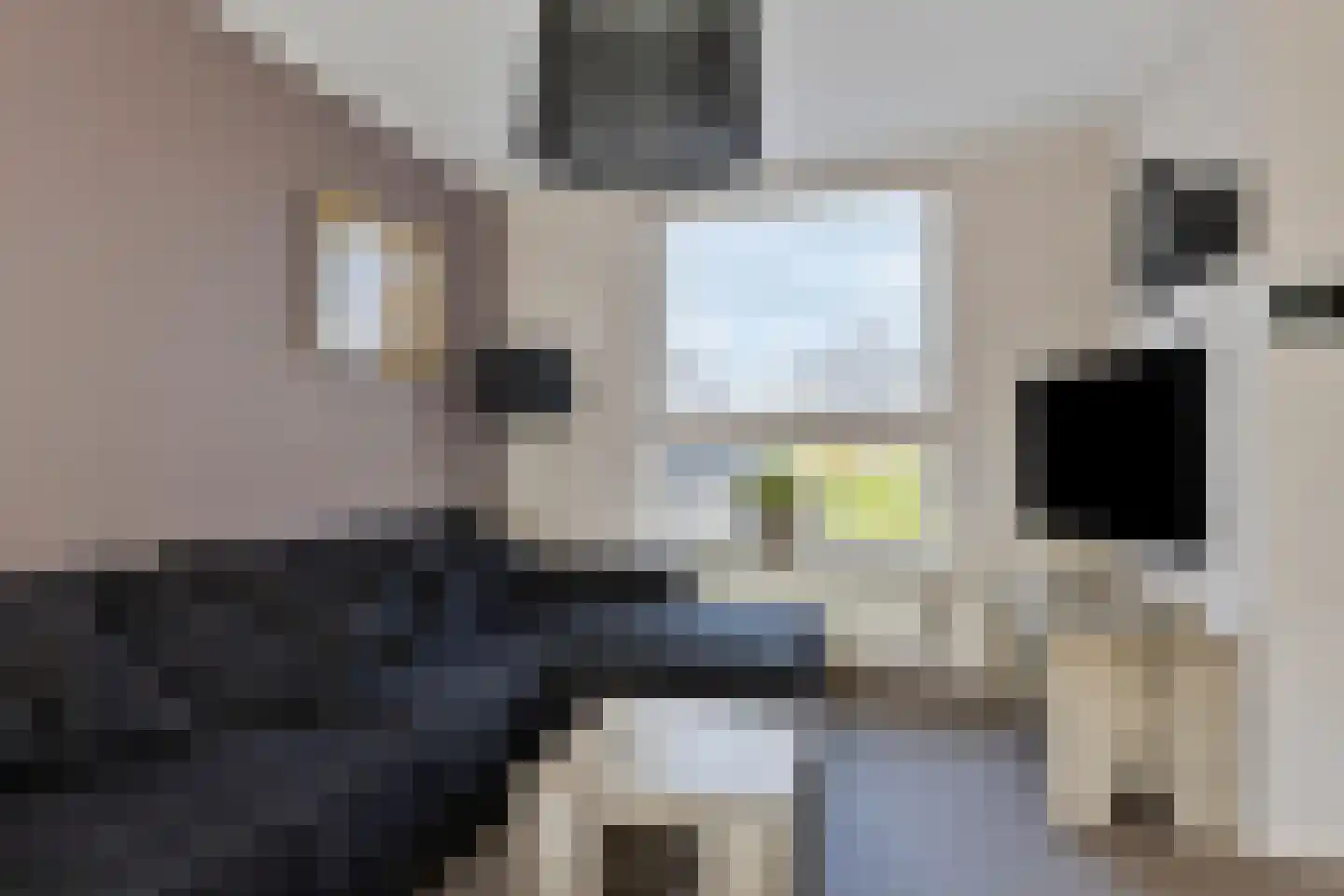 Heerma van Vossstraat 55 Roosendaal thumbnail 9