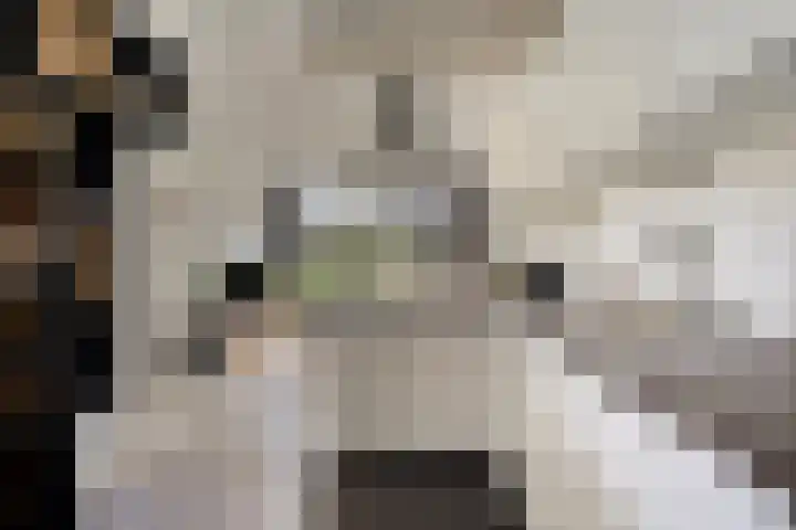 Heermahof 23 Baarlo thumbnail 13