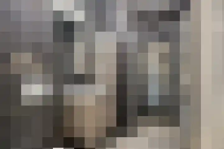 Heermahof 23 Baarlo thumbnail 21