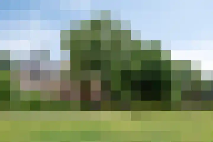 Heermahof 23 Baarlo thumbnail 32