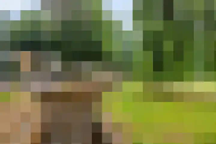 Heermahof 23 Baarlo thumbnail 33