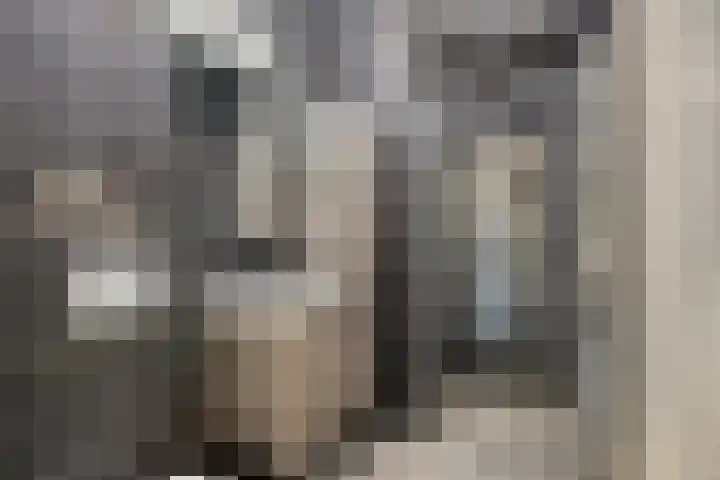 Heermahof 23 Baarlo thumbnail 4